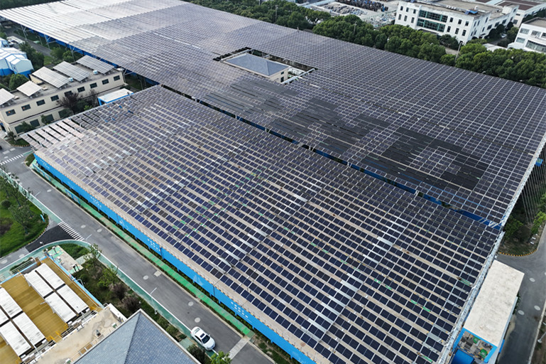 1768785086878978sw7Q.jpg 白荡厂_副本.jpg